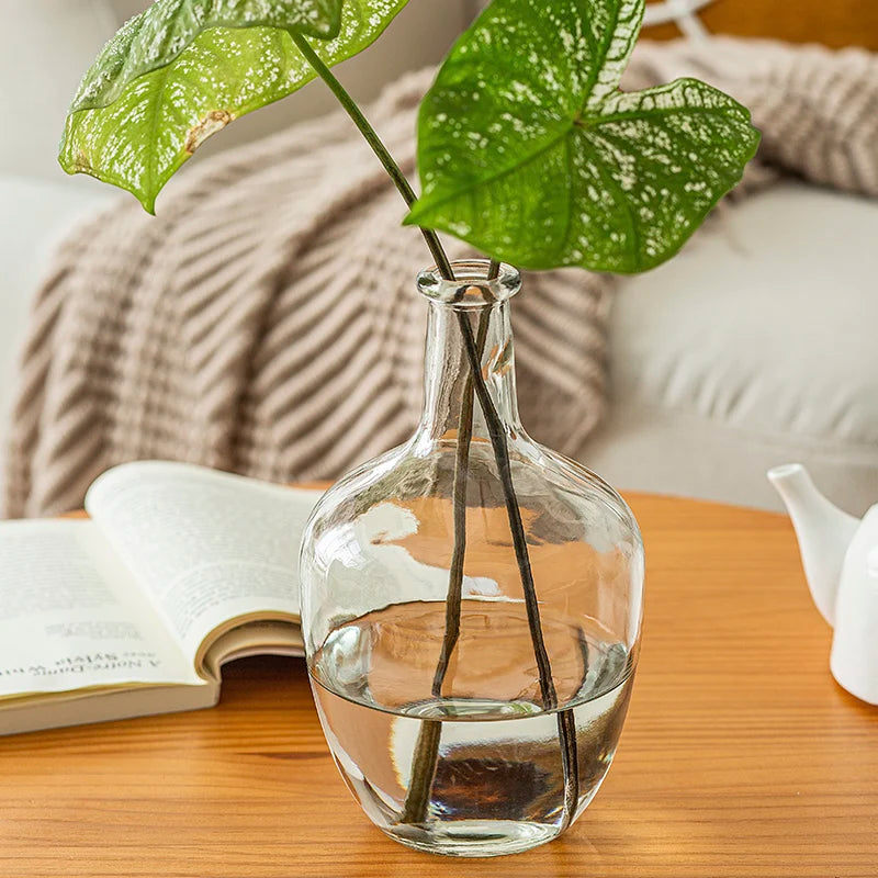 Vase Glass Transparent Flower Arrangement Ornaments Potbelly Water for Green Plants - Kacey ShoppingMart