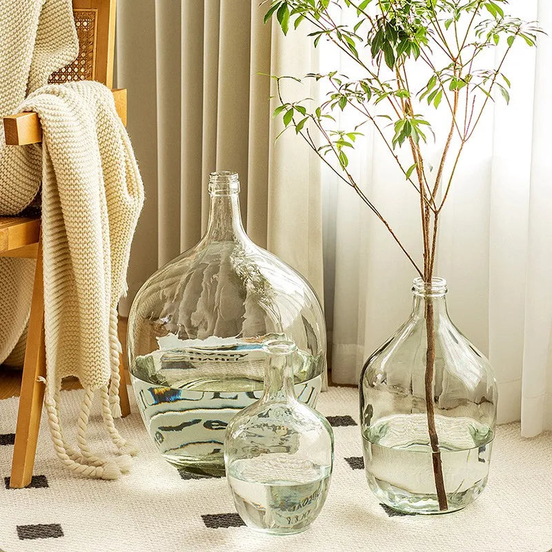 Vase Glass Transparent Flower Arrangement Ornaments Potbelly Water for Green Plants - Kacey ShoppingMart