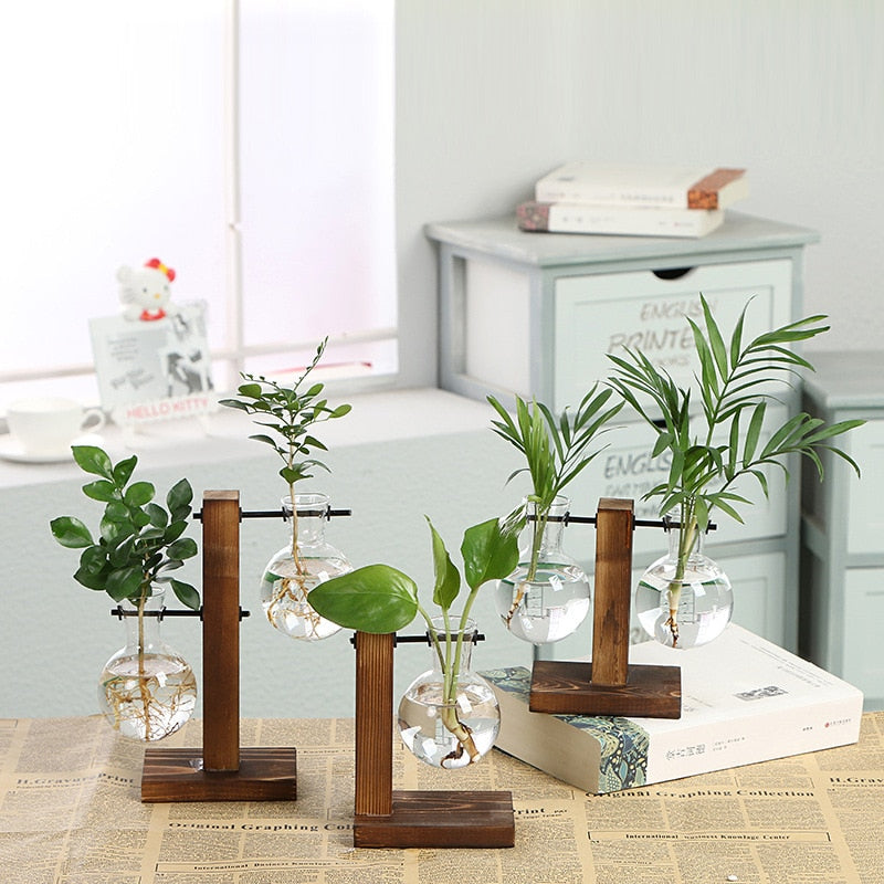 Vintage Garden Delight - Kacey ShoppingMart