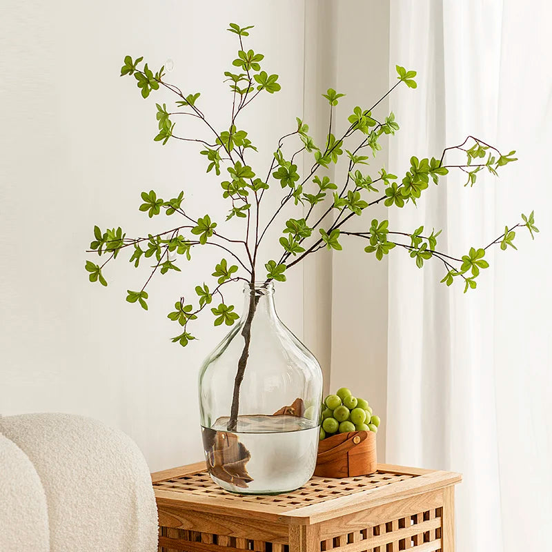 Vase Glass Transparent Flower Arrangement Ornaments Potbelly Water for Green Plants - Kacey ShoppingMart
