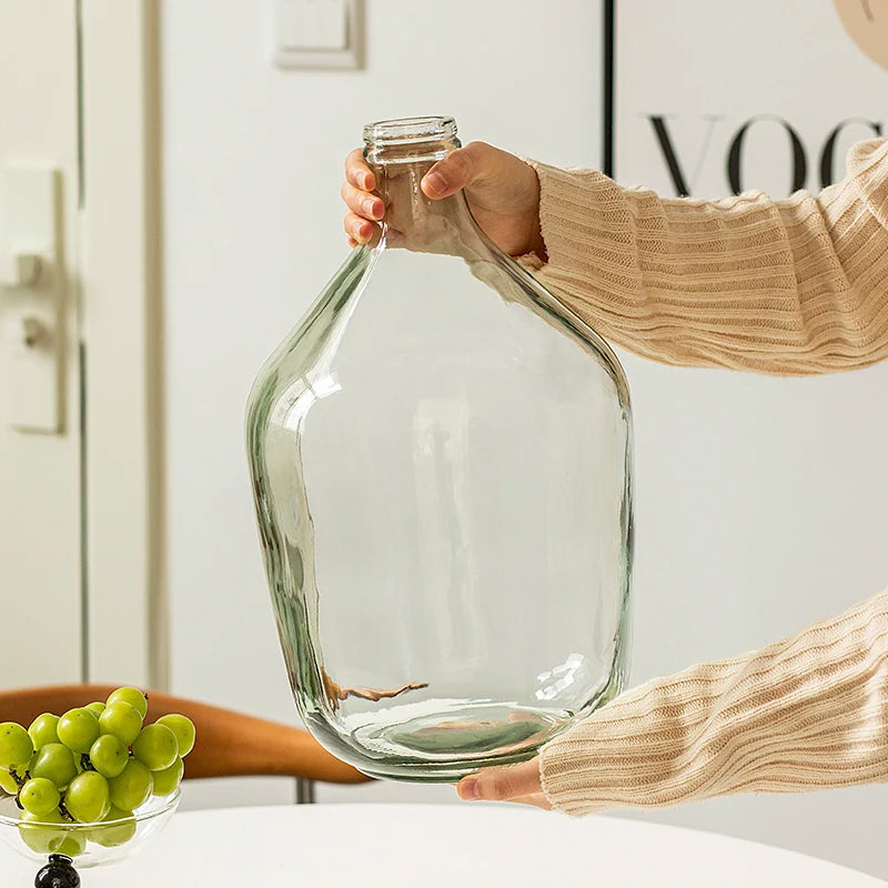 Vase Glass Transparent Flower Arrangement Ornaments Potbelly Water for Green Plants - Kacey ShoppingMart