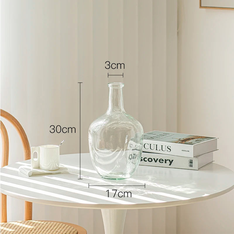 Vase Glass Transparent Flower Arrangement Ornaments Potbelly Water for Green Plants - Kacey ShoppingMart