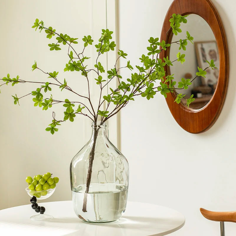 Vase Glass Transparent Flower Arrangement Ornaments Potbelly Water for Green Plants - Kacey ShoppingMart
