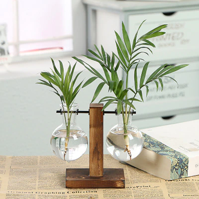 Vintage Garden Delight - Kacey ShoppingMart